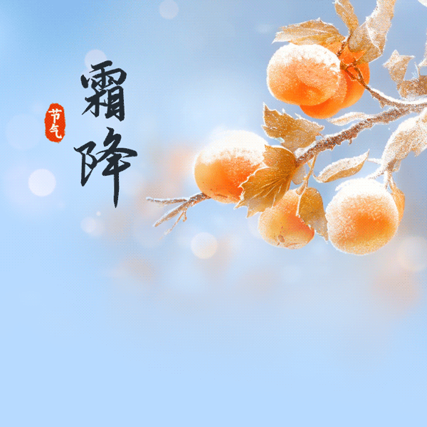 小一班霜降主题活动 ——动手与探索中的成长