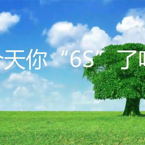 6S篇——没有止境 只有更好