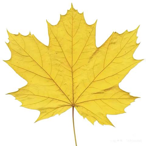 美术活动—美丽的秋天