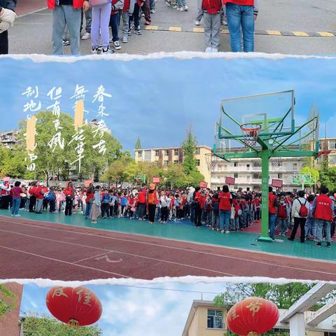 钢花小学学子游九峰森林动物园——三弓路校区篇