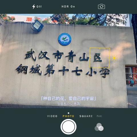 钢城十七小探秘空港湿地花田，研学之旅绽放成长之花