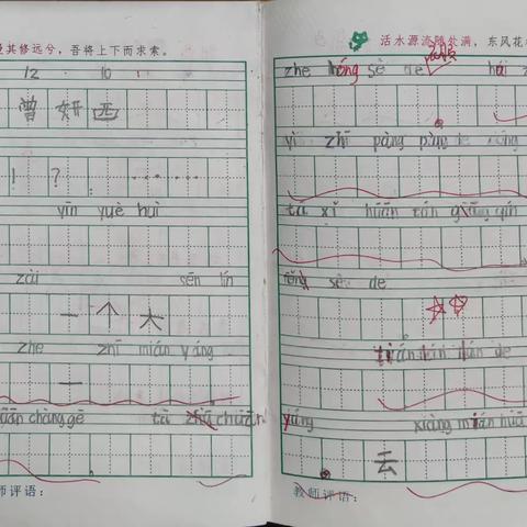 12.10秋一作周日10：30（一）