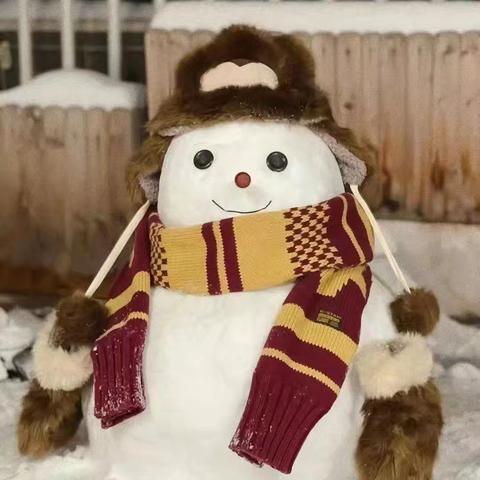 【南川工业园区公共设施管理局】扫雪除险护路行 破冰清障保途通