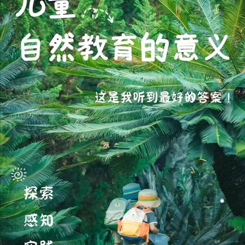 蓝天幼儿园秋游 ‍“研学化石活动”（大班）