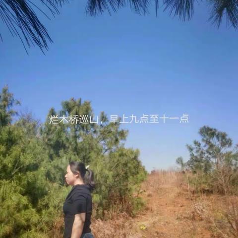 红石岩村党群周计划——绷紧森林“防火弦” 筑牢清明“防火墙”