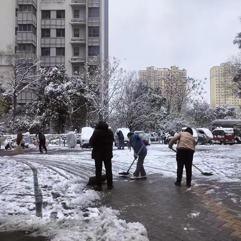 物业铲冰除雪：守护冬日里的温暖与安全