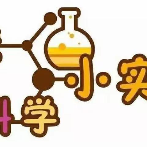 科学小实验—《会跳舞的豆子》