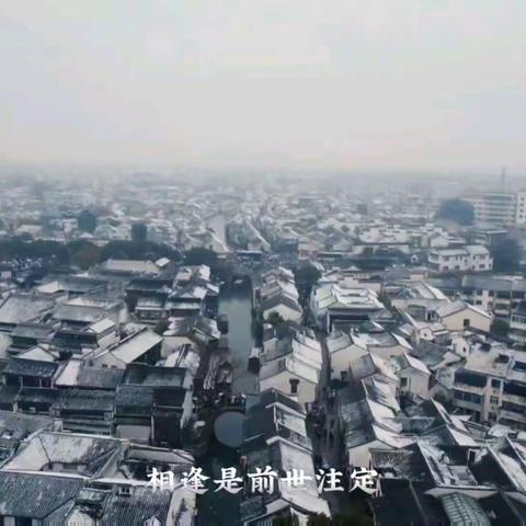 #苏州 #你的城市下雪了吗