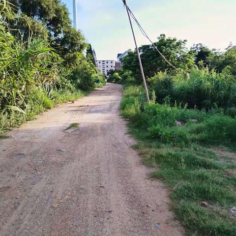 推进乡村振兴，前康村在行动