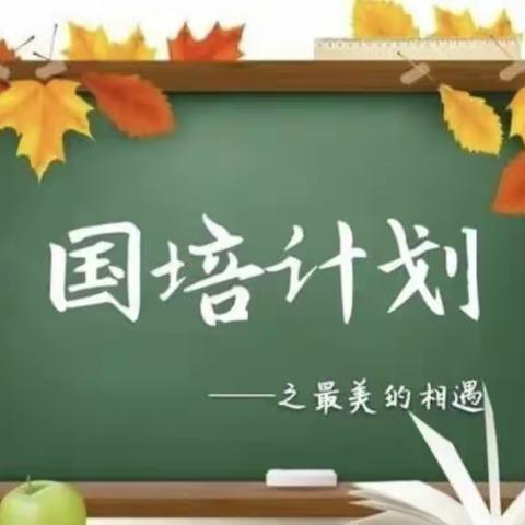 “国培计划（2023）”——平凉市县级初中数学骨干教师能力提升培训研修日志