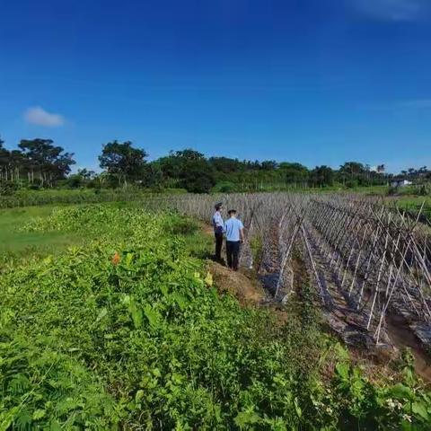 新竹镇常态化秸秆禁烧巡查工作