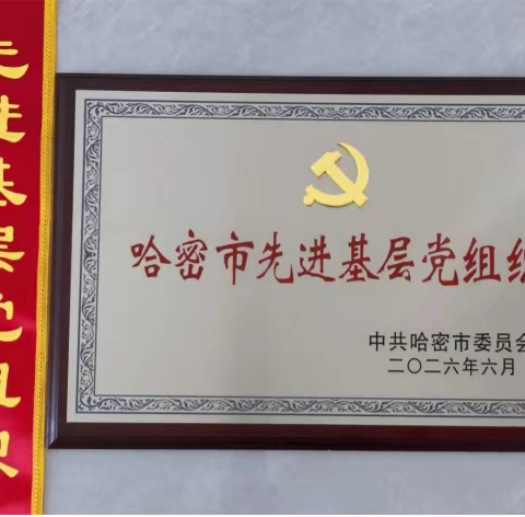 党建引领结硕果 徽商聚力启新程——哈密市安徽商会党支部委员会荣获市级“先进基层党组织”荣誉称号