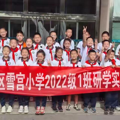 “健康育苗”  点亮明亮 “视” 界