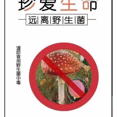 织金县牛场镇第二幼儿园【安全教育篇】珍爱生命———禁食野生菌、野果，预防食物