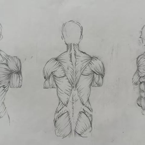 《动态速写》游戏2401班