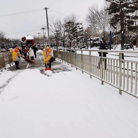 柠檬黄——雪后最美的景色