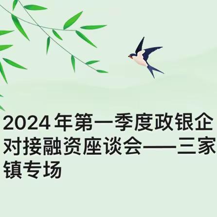 2024年第一季度政银企对接会——三家镇专场