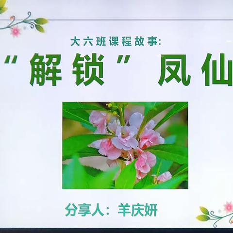 课程故事："解锁"凤仙花