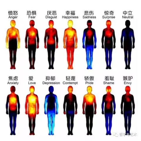 身体是“情绪的地图”，它教导我们如何与世界相处