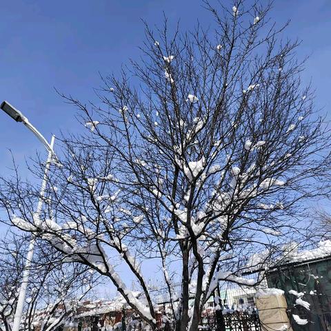 冰雪中的教育温度❄️