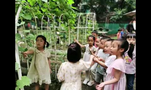 快乐学习，健康成长——逸景幼儿园东园区中一班一日活动