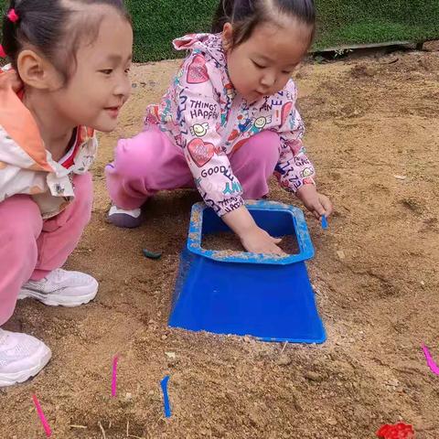 【双争有我】沙池童趣，快乐无限 ——区直幼儿园中班户外活动篇