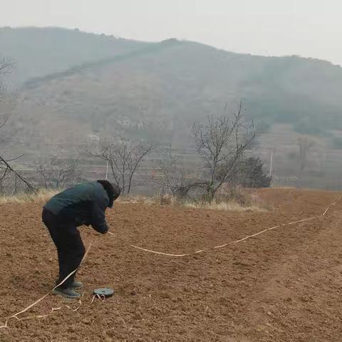 重焕生机：开垦摞荒土地，为村中老人增加收入