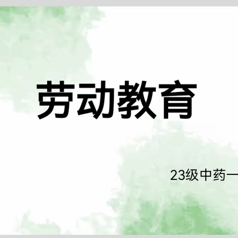 让青春在劳动中闪光——23级中药1班