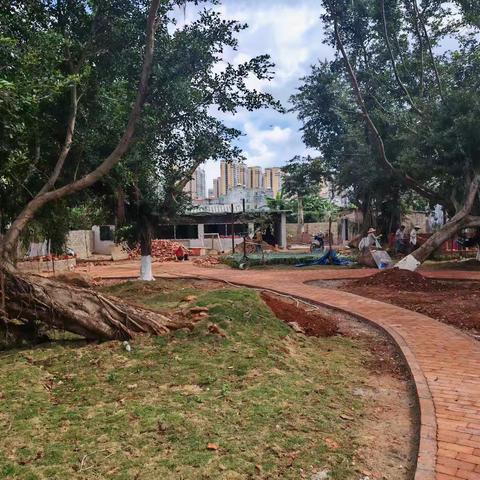 委员联系界别群众优丽工作站开展集中学习交流和联系调研活动