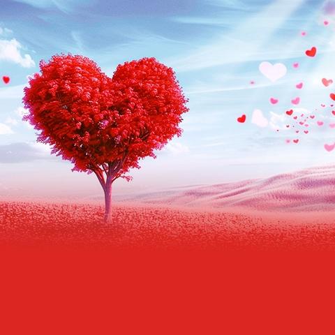 大手牵小手相伴共成长 元启新岁暖童心，十四幼情牵特教行 元旦暖心慰问