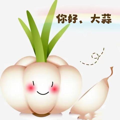 你说了“蒜”——荷尧镇青云幼儿园大班班本课程故事