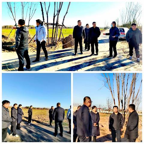 市政协副主席苗琛带领市级政协委员到下沉乡镇调研