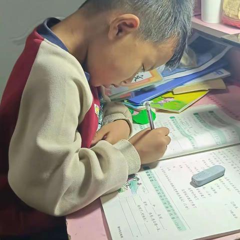一转眼，郭浩宇同学己经进入了一年级，开启了小学的生活。孩子不但学会了很多知识，还参与了很多劳动实践，让我们亲眼见证了孩子的成长。