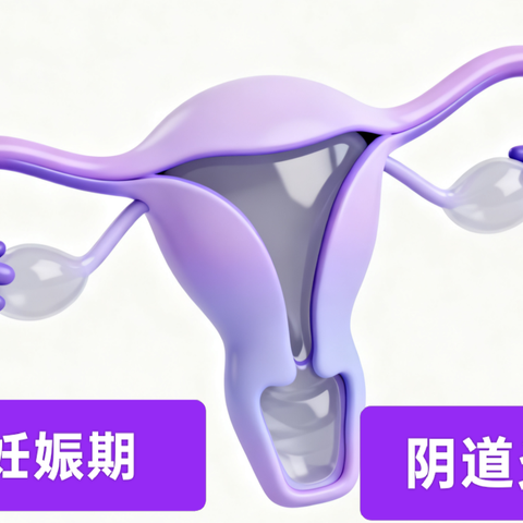 孕期阴道炎：不可忽视的“难言之隐”