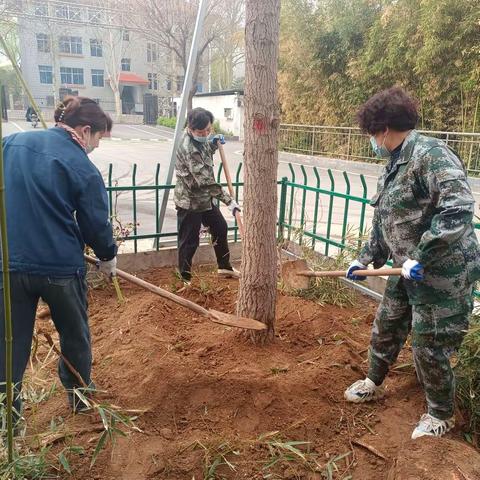 张三村春日植树绿化活动