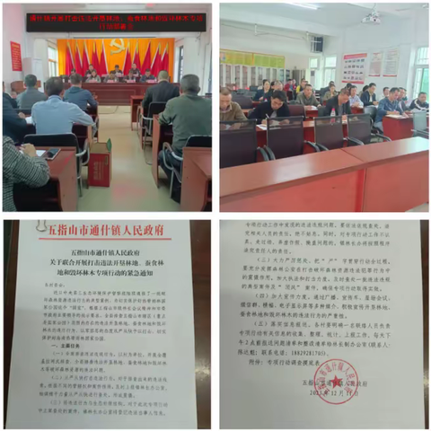 绿水青山，你我守护-通什镇开展打击违法开垦林地、蚕食林地和毁坏林木专项行动