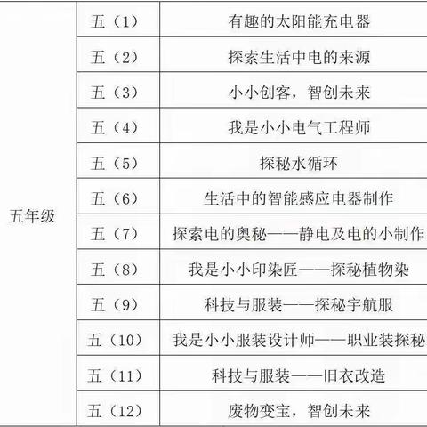 扬中外国语小学五(1)班 少年科学院——有趣的太阳能充电器