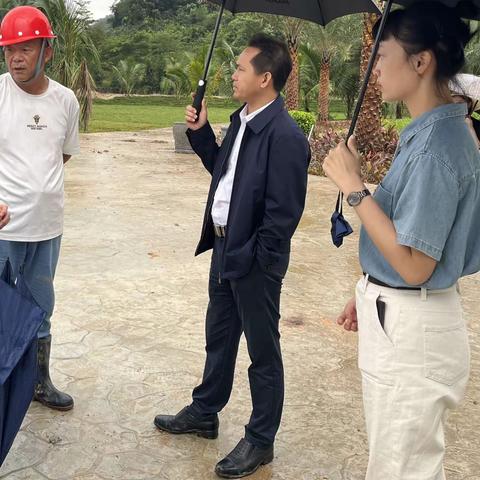 县应急管理局到“雨林与您”项目工地督查山体栈道承载力测试工作