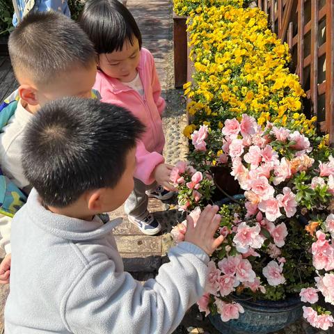 《幼遇春天》