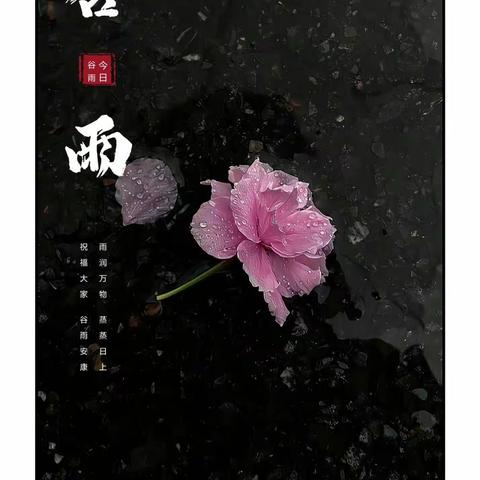 长岭县第一幼儿园 —小三班二十四节气🌧️ོ²⁰²⁴/₀₄.₁₉ ☔ 𝐆𝐫𝐚𝐢𝐧 𝐑𝐚𝐢𝐧˃̵͈̑ᴗ˂✧˖°𓅿𓅹▸▸▸ 🍃 雨生百谷，夏将至，福临天下，美好来。