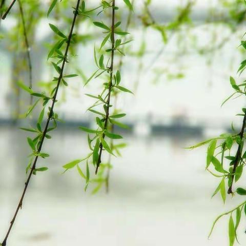 《展风采  真教研   共成长》———宋村一中数学组“学课标   用课标”教研活动