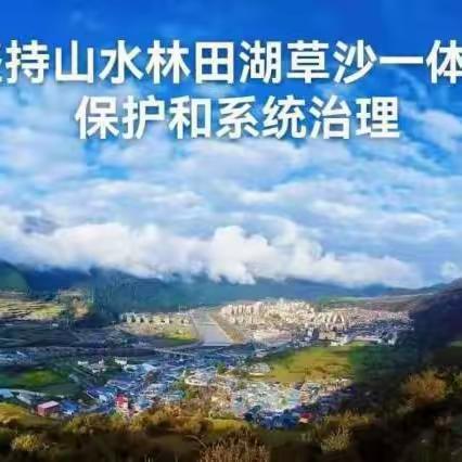 桑坝林场工作动态