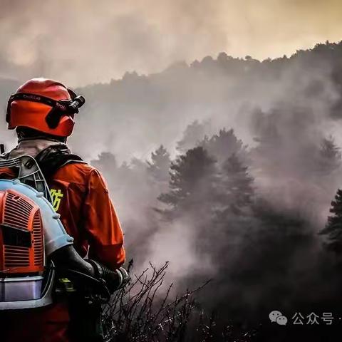 森林消防要“游山玩水”