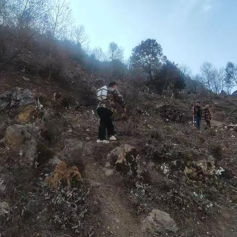 精准督导促落实，联防联控护林安