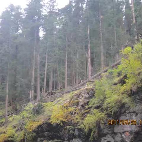 守护绿色家园 共绘生态画卷