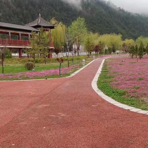我省发布2026年第2号总林长令