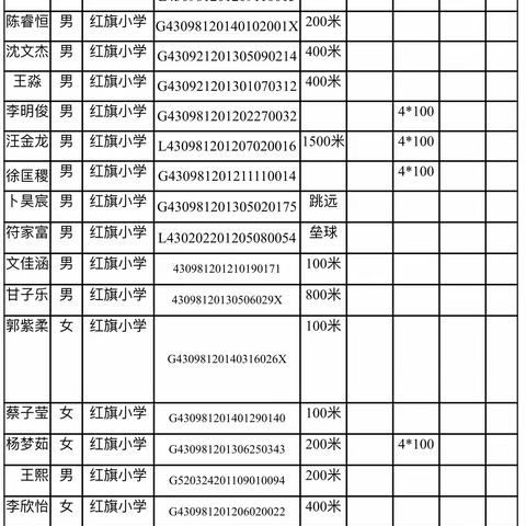 与健康结伴 与艺术同行——红旗小学参加黄茅洲镇第一届体育艺术节