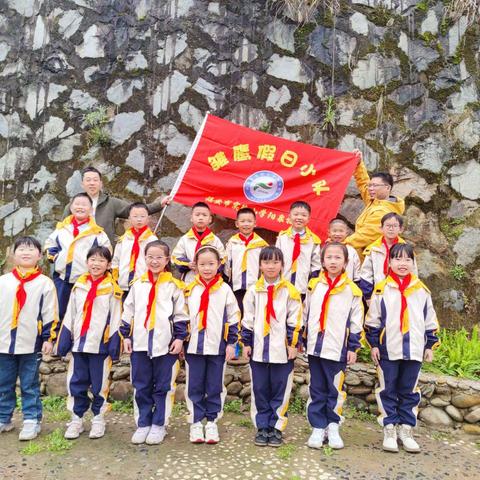 “植”此青绿，正“植”有你——实验小学阳泉校区 二（4）班开展植树活动