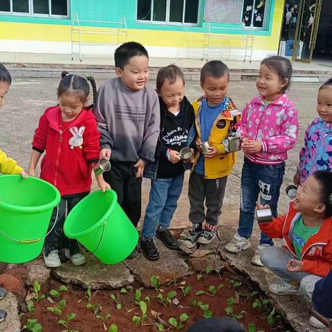 记录幼儿园快乐生活——攀艺幼儿园第十一周日常活动