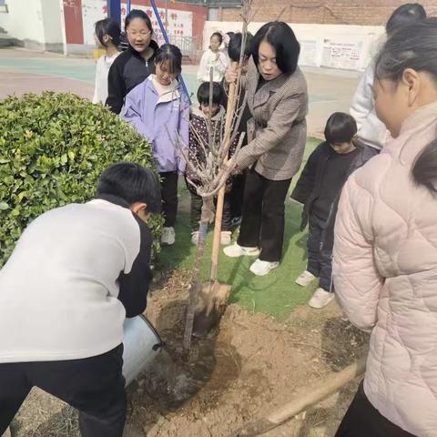植绿护绿·童心向春——端庄小学开展植树节系列主题活动